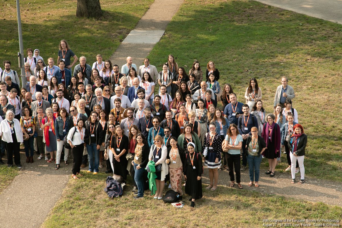 José M G Pereira (@josemgpereira) on Twitter photo As informal photographer I came to Lyon, France, as relative from one of the <a href="/EurSocPhotobiol/">European Society for Photobiology</a> members at the 20th Congress - August 27/31 2023. My wife challenge me to photograph some moments according to my sense and sensibility, like I did since 2015! That's what I will share! As informal photographer I came to Lyon, France, as relative from one of the <a href="/EurSocPhotobiol/">European Society for Photobiology</a> members at the 20th Congress - August 27/31 2023. My wife challenge me to photograph some moments according to my sense and sensibility, like I did since 2015! That's what I will share!