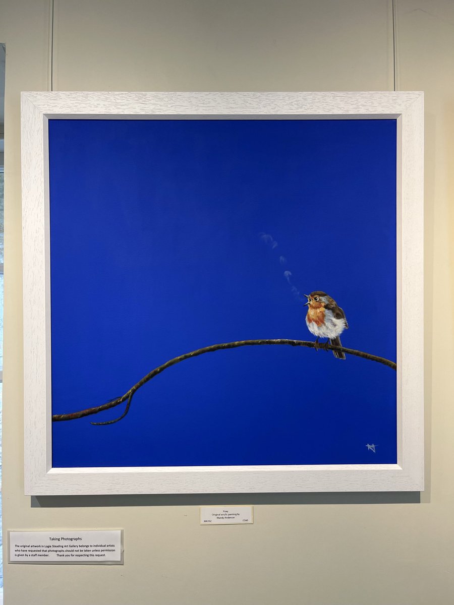 Highlandcoos007's tweet photo. Here are a few of my original paintings from my Logie Steading Gallery exhibition which is due to finish this Monday. https://t.co/rHCMt7K6l3