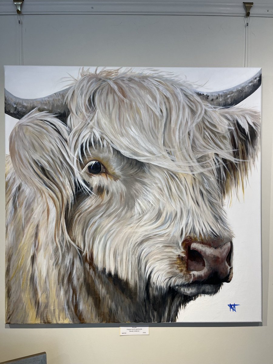 Highlandcoos007's tweet photo. Here are a few of my original paintings from my Logie Steading Gallery exhibition which is due to finish this Monday. https://t.co/rHCMt7K6l3