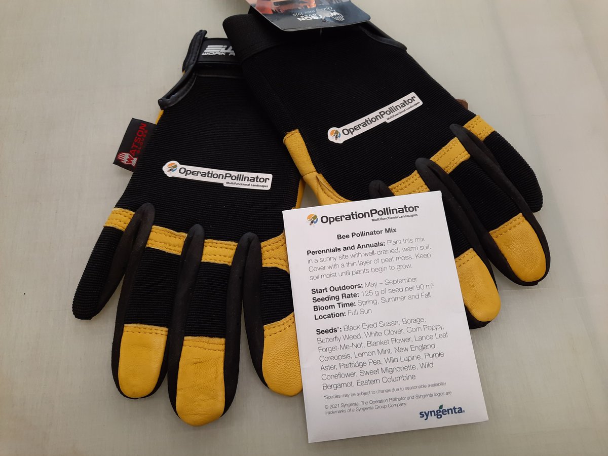 SyngentaTurfCA's tweet image. When it comes to promoting pollinators, golf courses can “bee” part of the solution! Win a pair of #OperationPollinator gloves! All you have to do is:
1. REPOST this post
2. Make sure you're following @SyngentaTurfCA
 bit.ly/43QaS7n