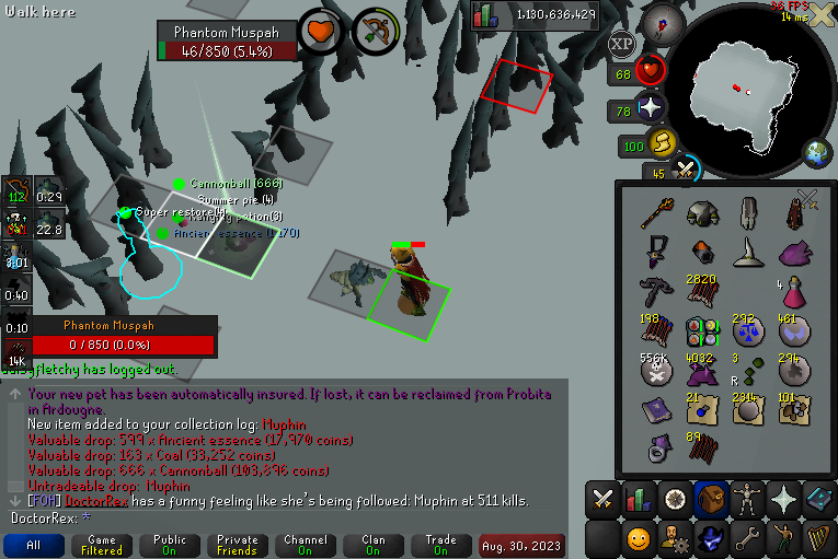 PersonalRex's tweet image. #35 muphin