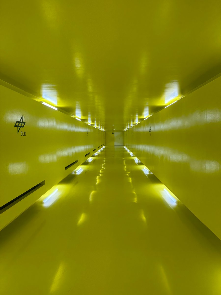 Dr Julia Low tweet media