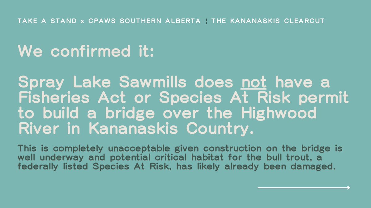 🚨 BREAKING NEWS 🚨

We have received confirmation from <a href="/FishOceansCAN/">Fisheries and Oceans</a> (DFO) that Spray Lake Sawmills does *not* have a Fisheries Act or Species At Risk permit to construct any kind of crossing over the #HighwoodRiver.

#AbLeg #AbPoli #CdnPoli #DefendAlbertaForests