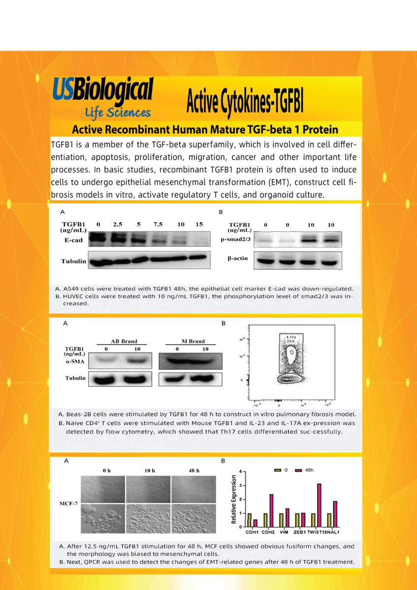 USBiological tweet media