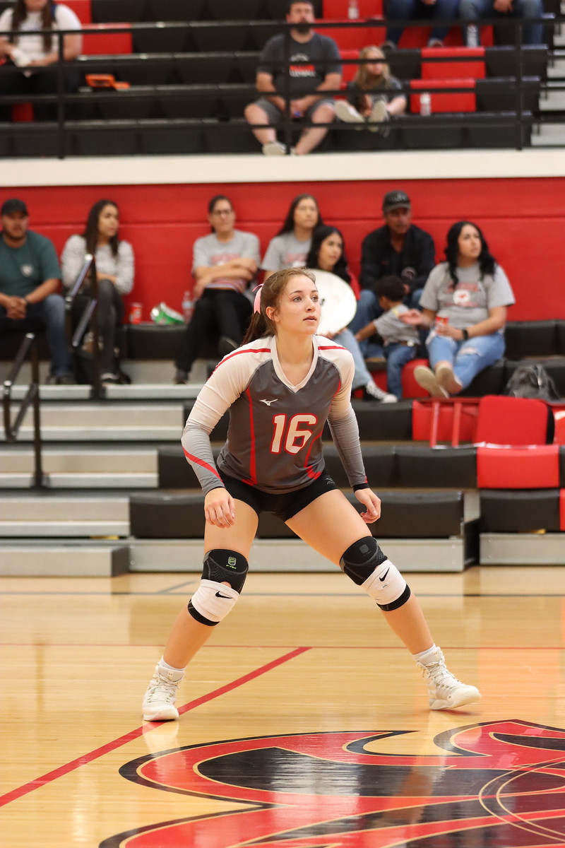 Conor Nicholl tweet media