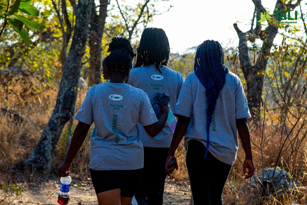 tagalife's tweet photo. Zimbabwe’s 2023 Election in Connection with Women Participation- A #LEMHster’s Election Experience
“In Chitungwiza, it is said that women have nothing important to say so it was agreed that no woman should be voted for…”
Read more➡️ https://t.co/pLWVr2FP00
#ElectionsZW https://t.co/mjNbHu3fxB