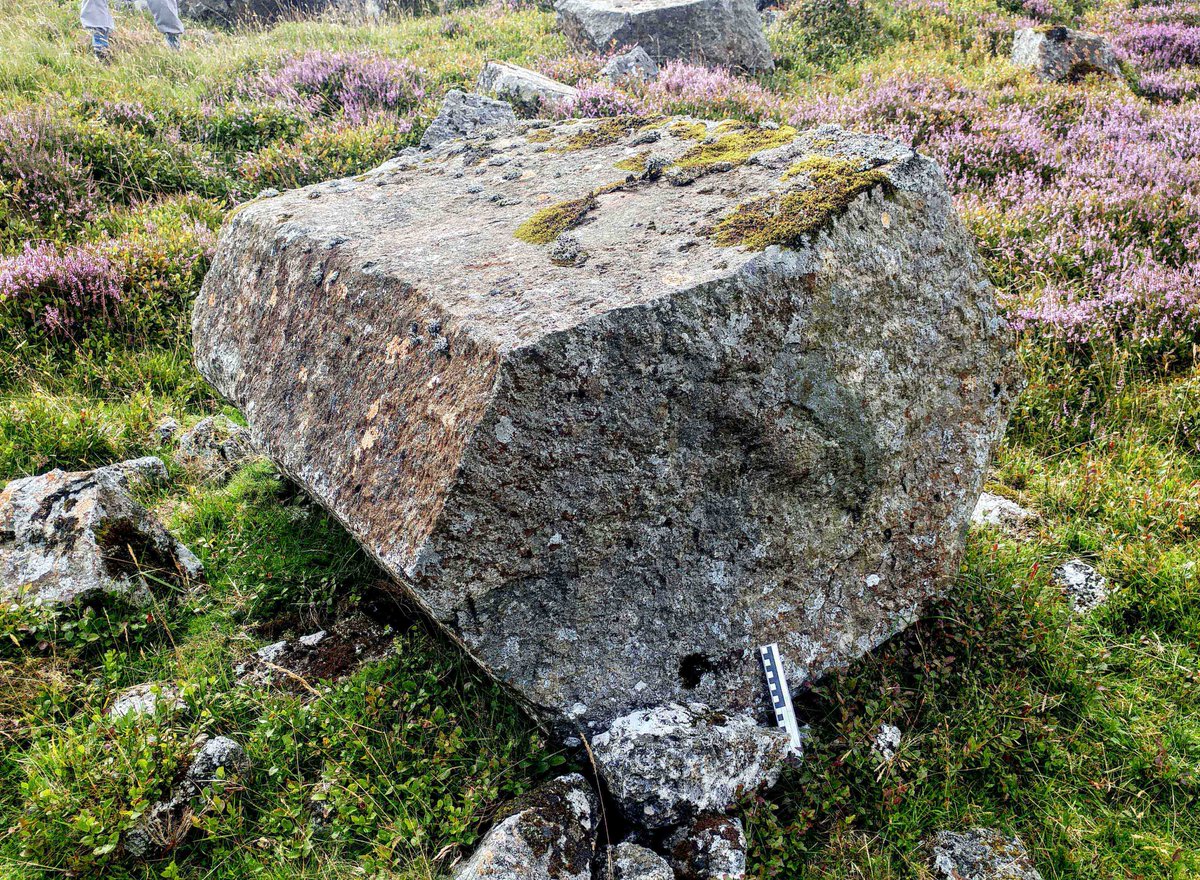 erraticsproject's tweet photo. Earlier this month, a small group of us went on an informal visit to Arenig Fawr in N Wales. Our aim was to compare the rocks of the area to the SW Birmingham erratics. It was a fantastic day!
We plan to compile some notes based on this visit. Do email us if you'd like a copy. 🙂 https://t.co/5w1TCsSiud