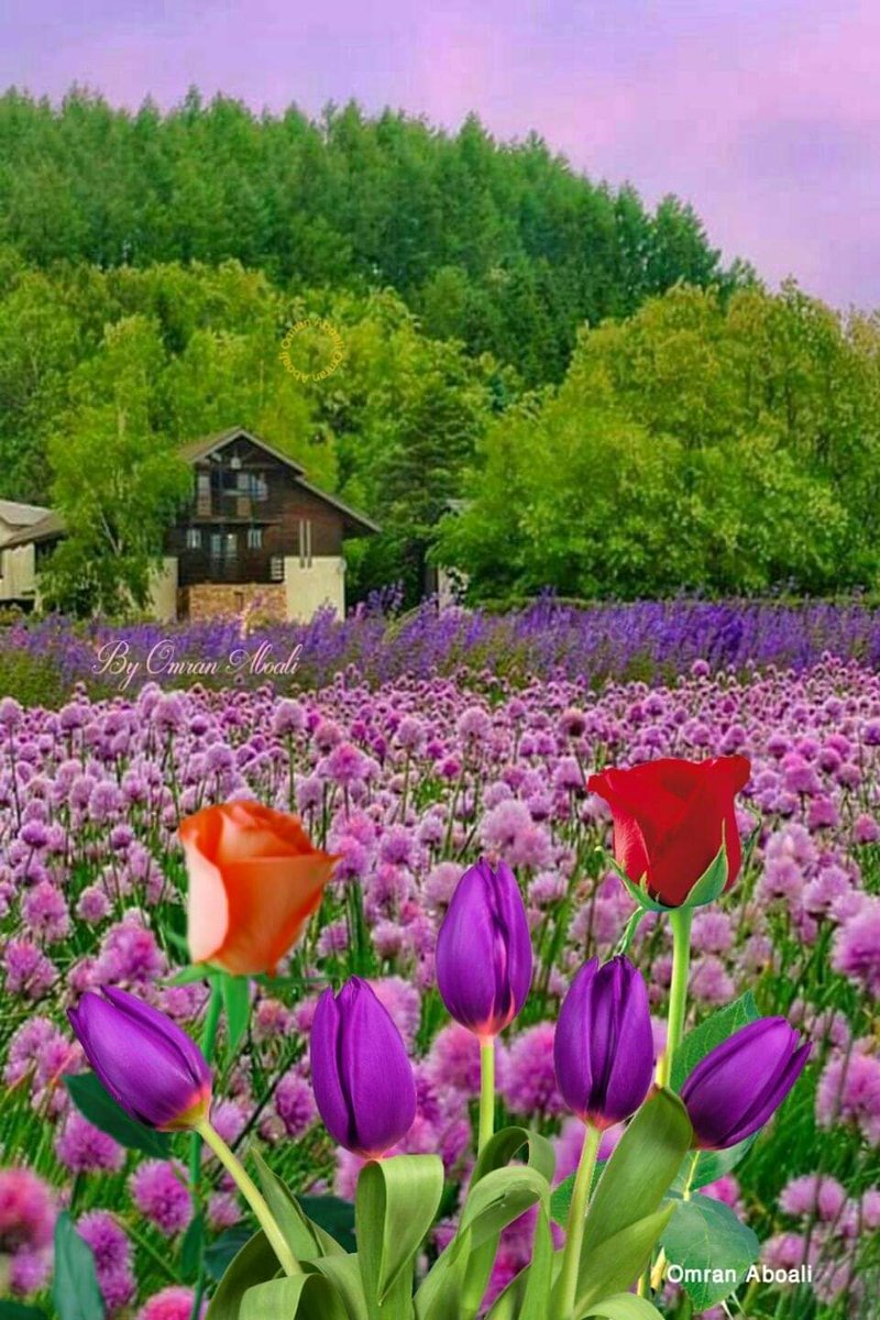 <a href="/bodor_501/">♛#بنت_الطائف ♛</a> <a href="/FrzBrns/">فرز برنس</a> <a href="/brns_frz/">فرز برنس</a> <a href="/Ab25Frz/">فرز برنس</a> كفوك الطيب والعود الازرق سلمتي كلك ي الأميرة لا عدمناك 🌹