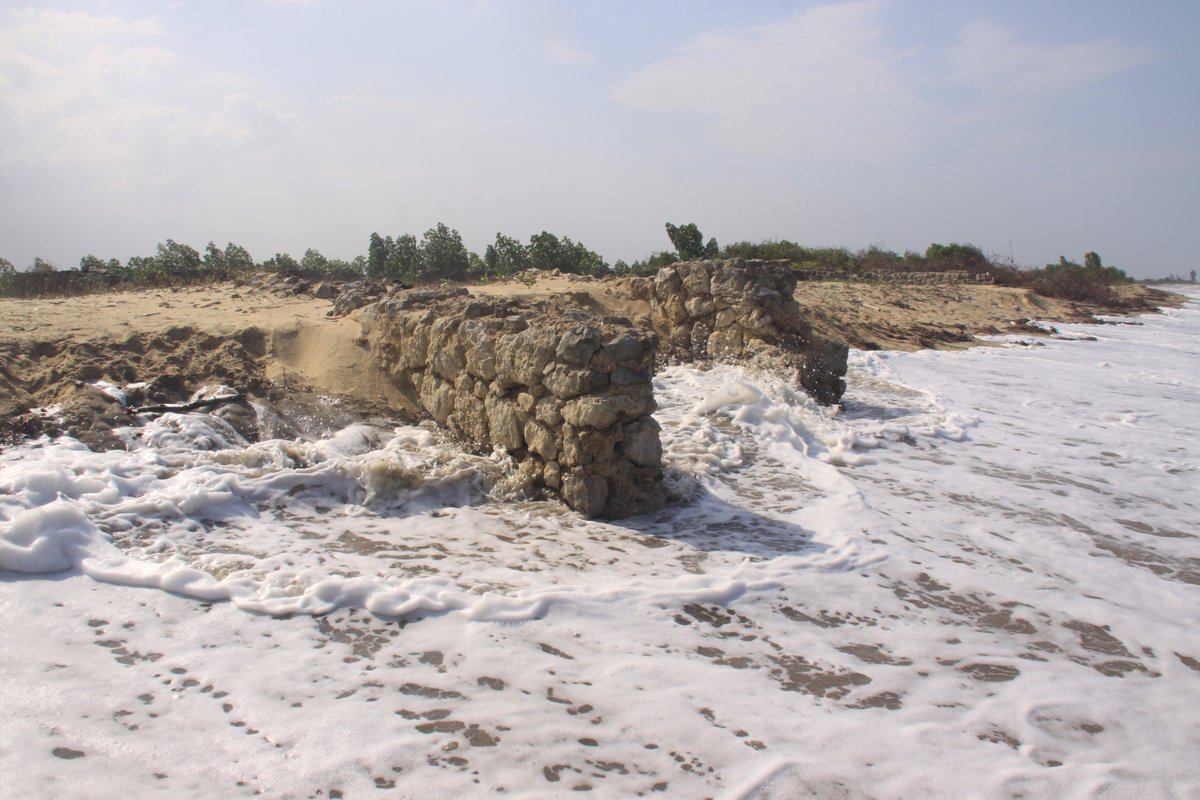 Spring tides at the moment so stone ruins can be seen at low tide but the site is eroding at high tide in Winde, Tanzania @IchumbakiE @urithiwetutz @UdsmOfficial