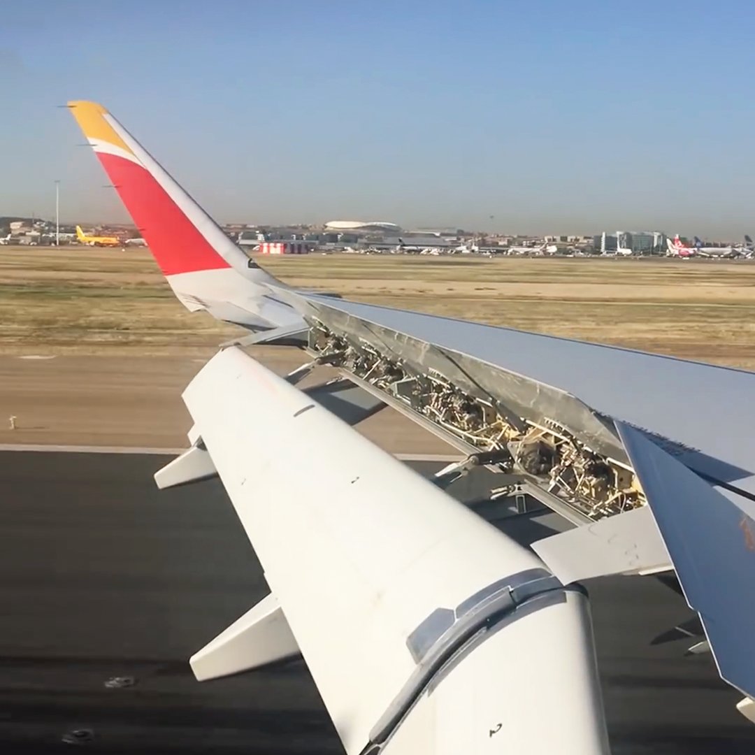 ✈️ Sai cos'è un timone di direzione? E i generatori di vortice? Entrambi sono meccanismi che utilizziamo per controllare il volo degli aerei. Vuoi saperne di più? Scoprilo qui 👉bit.ly/tw_it_iberia