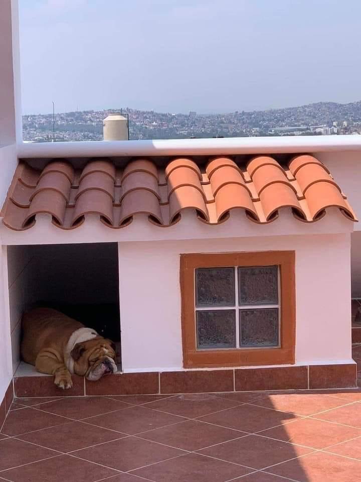 LezVargas's tweet photo. Que ganas de ser éste wey; sin estudiar, sin trabajar y ya con casa propia. https://t.co/vDnEnUZytZ