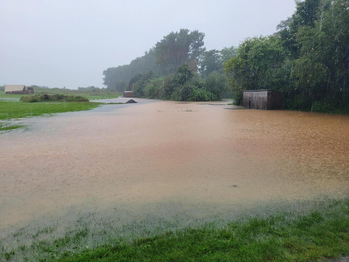 ⚠ Veuillez noter : Les terrains du lieu historique national de Grand-Pré ont été temporairement fermés en raison de fortes pluies et d'inondations localisées. Le centre d'accueil des visiteurs demeure ouvert.