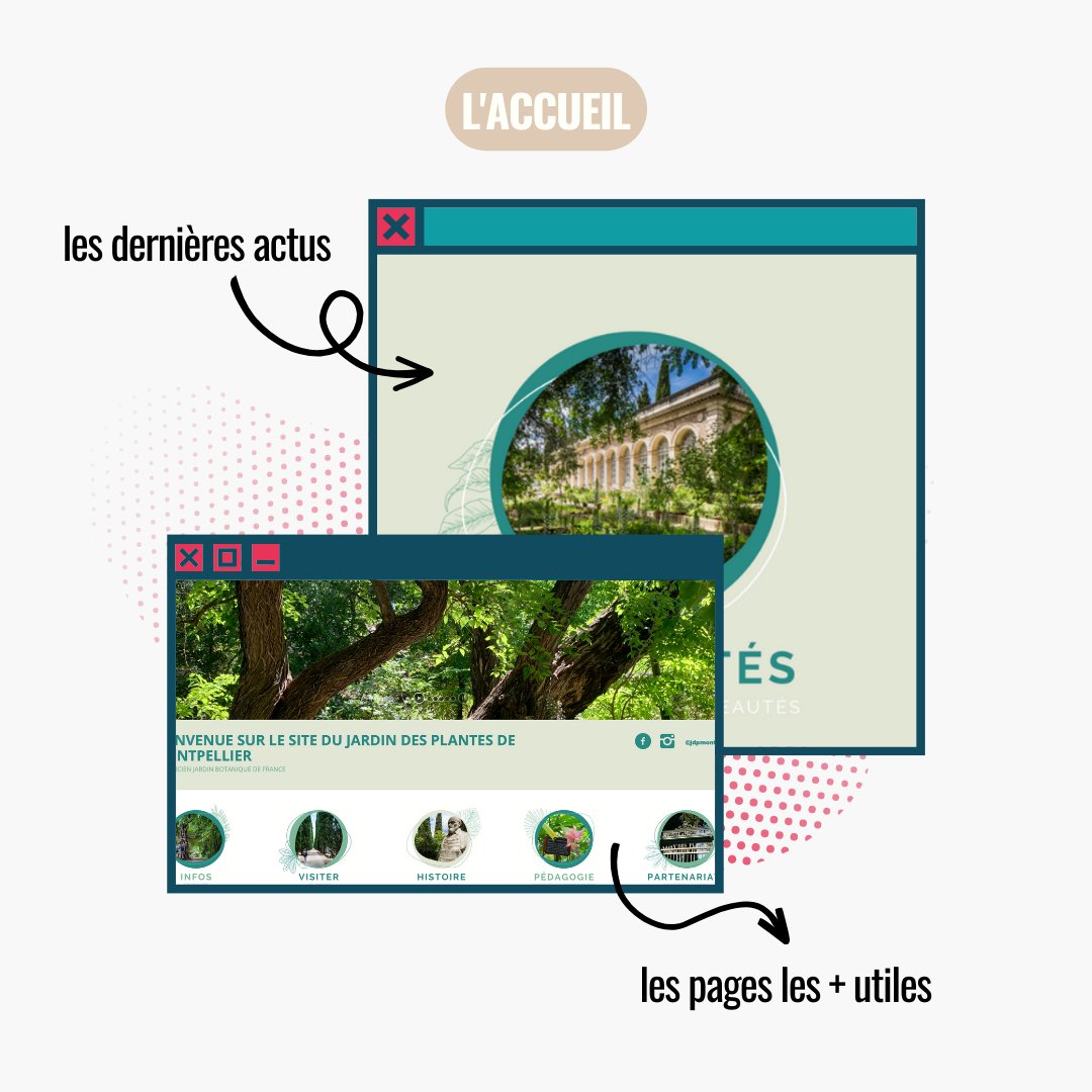[ 🌿 Site web du Jardin des Plantes : Accueil]

Envie d’en savoir plus sur le plus ancien Jardin des Plantes de #France ? Rendez-vous sur son site web ! ⤵️
facmedecine.umontpellier.fr/patrimoine-his…