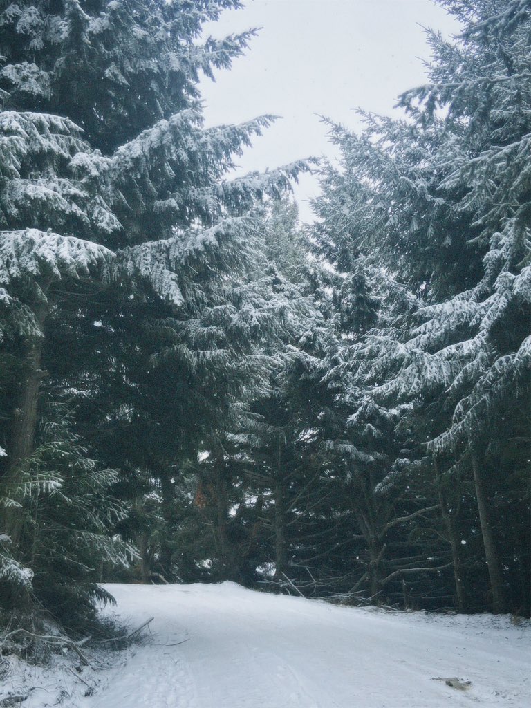 giuferrarib's tweet photo. ❄️🌨️🧣🏔️🥾❤️‍🩹 https://t.co/lmasTC0RLz