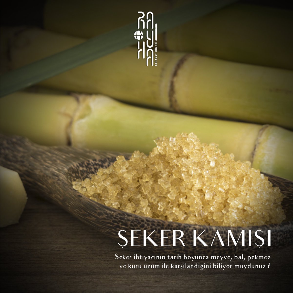 Şeker kamışı (Saccharum officinarum), şeker üretimi için kullanılan bir bitki türüdür. Bu bitki, tropikal ve subtropikal bölgelerde yetişir. Şeker kamışı, yüksek miktarda sakkaroz içeren bir sap üretir. Bu sap, şeker üretimi için işlenir ve rafine edilir. #rayihabaharatmüzesi