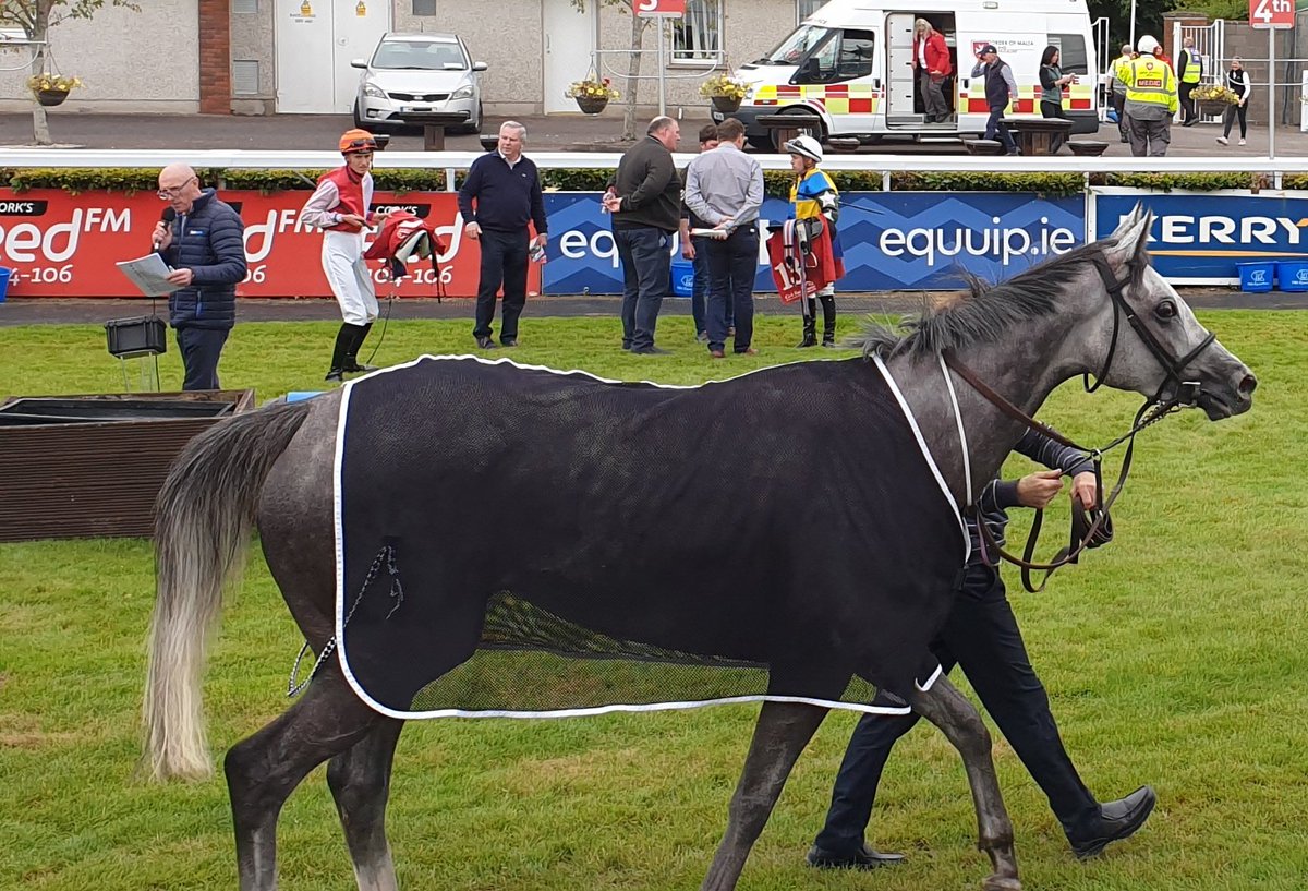 SportsNewsIRE's tweet image. Elsa's Pride (25/1) wins The Mallow Handicap @corkracecourse for Fozzie Stack, Andrew Slattery and owner Sir Francis Brooke