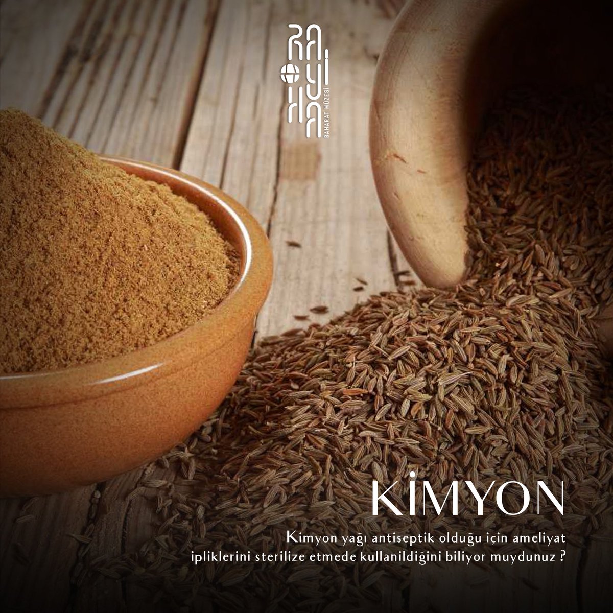 Kimyon (Cuminum cyminum), maydanozgiller (Apiaceae) familyasına ait bir bitki türüdür. Binlerce yıldır kullanılan bir baharat olmakla beraber tıbbi bitki olarak önemli bir yer tutar. #rayihabaharatmüzesi