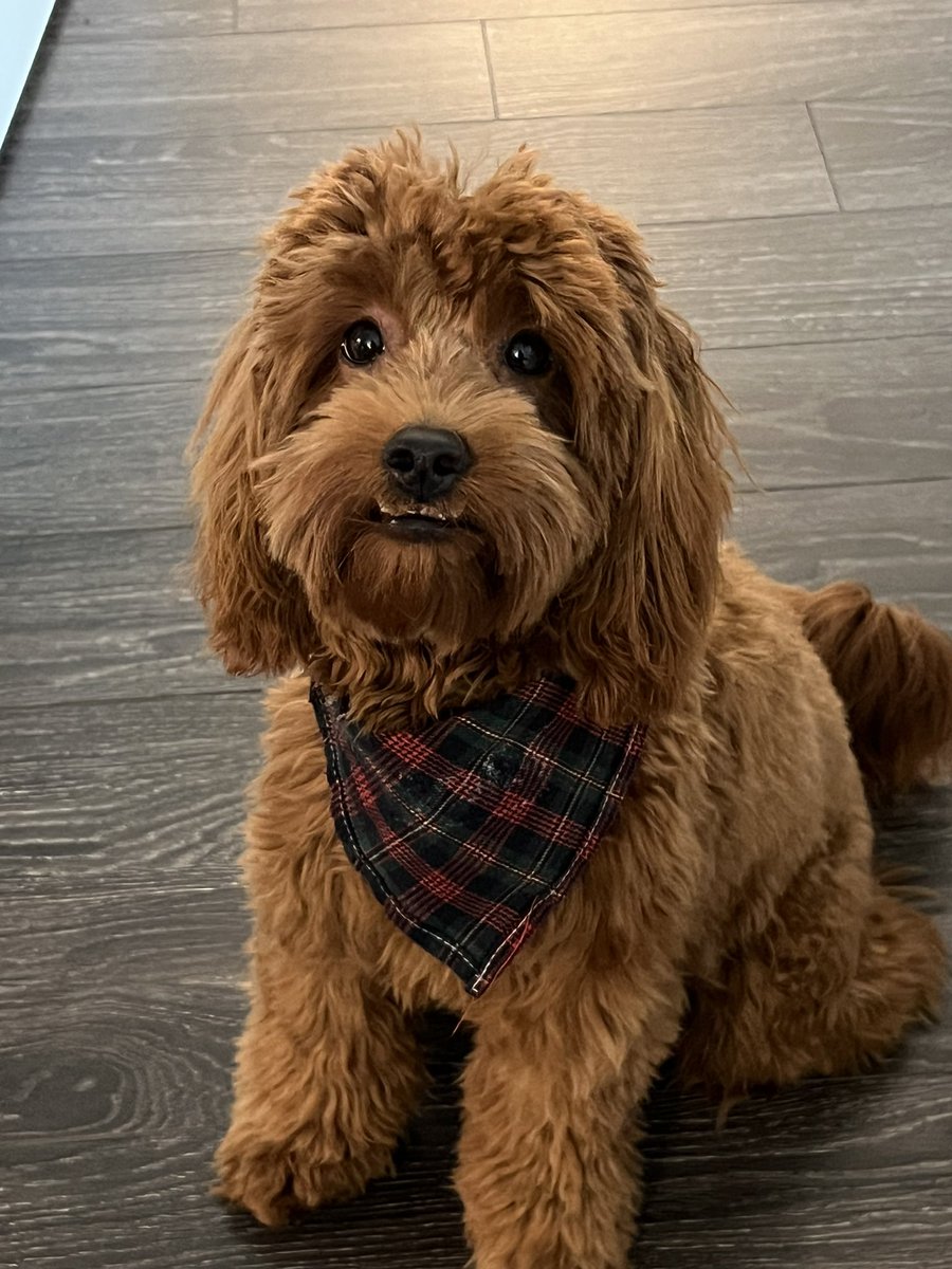 someone’s ready for fall