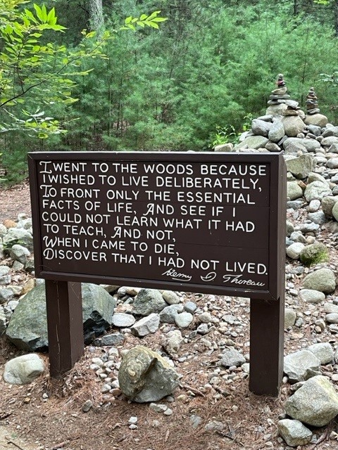 Dimensional Insight tweet media