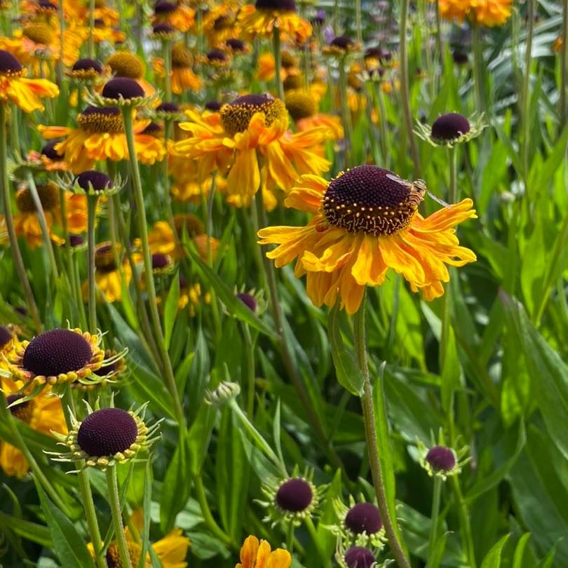 LANDSCAPE - The Industry Trade Show tweet media