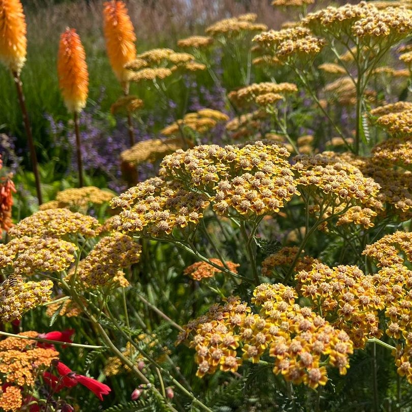 LANDSCAPE - The Industry Trade Show tweet media