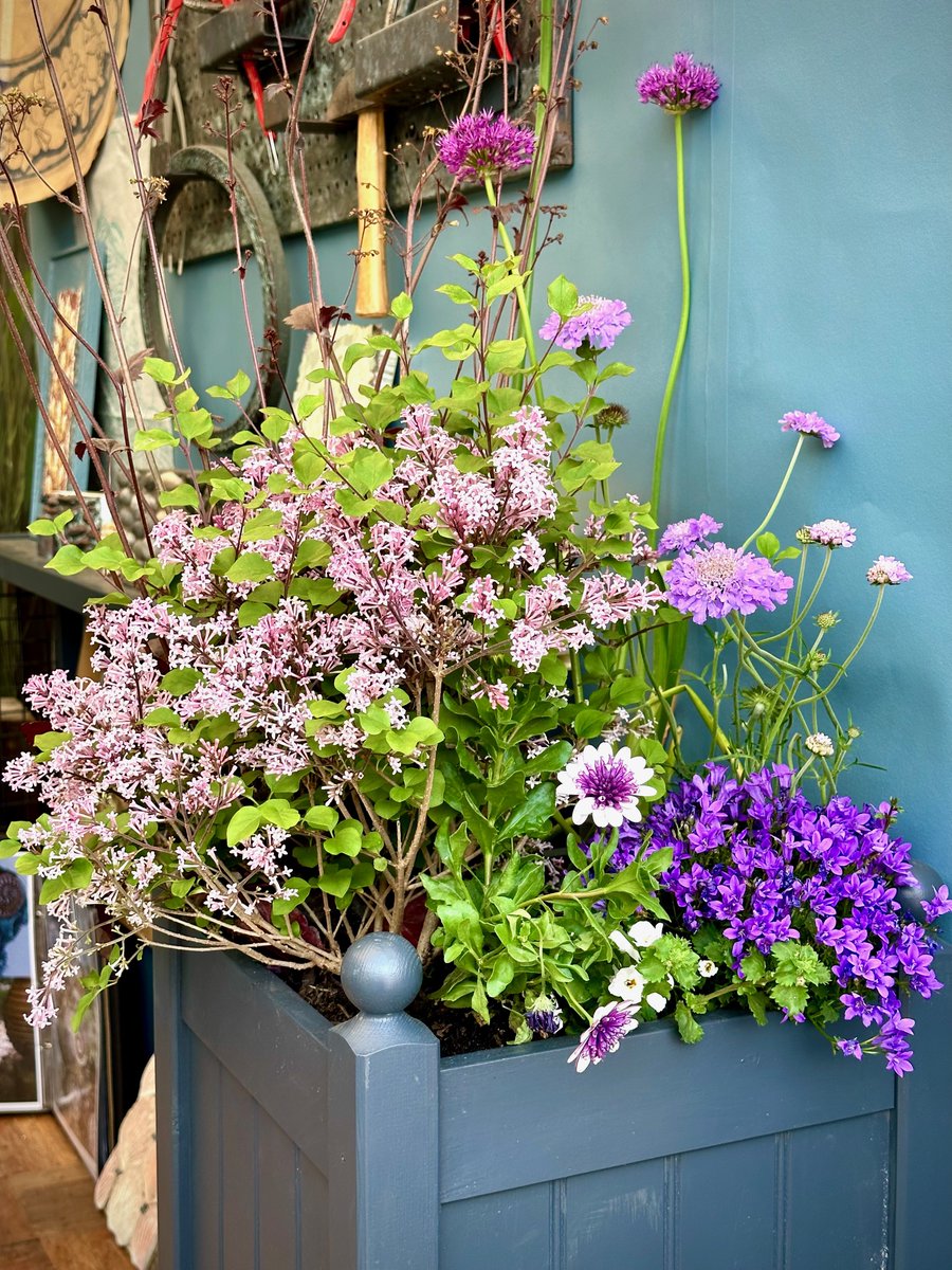 officialverakoo's tweet image. Here&apos;s an idea for flower arrangement in a planter box…. isn’t this pretty?

#flowers #planterbox #flowerarrangement