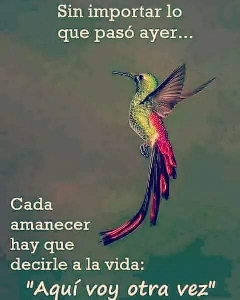 Nelva Garcia (@nelvagarcia18) on Twitter photo 