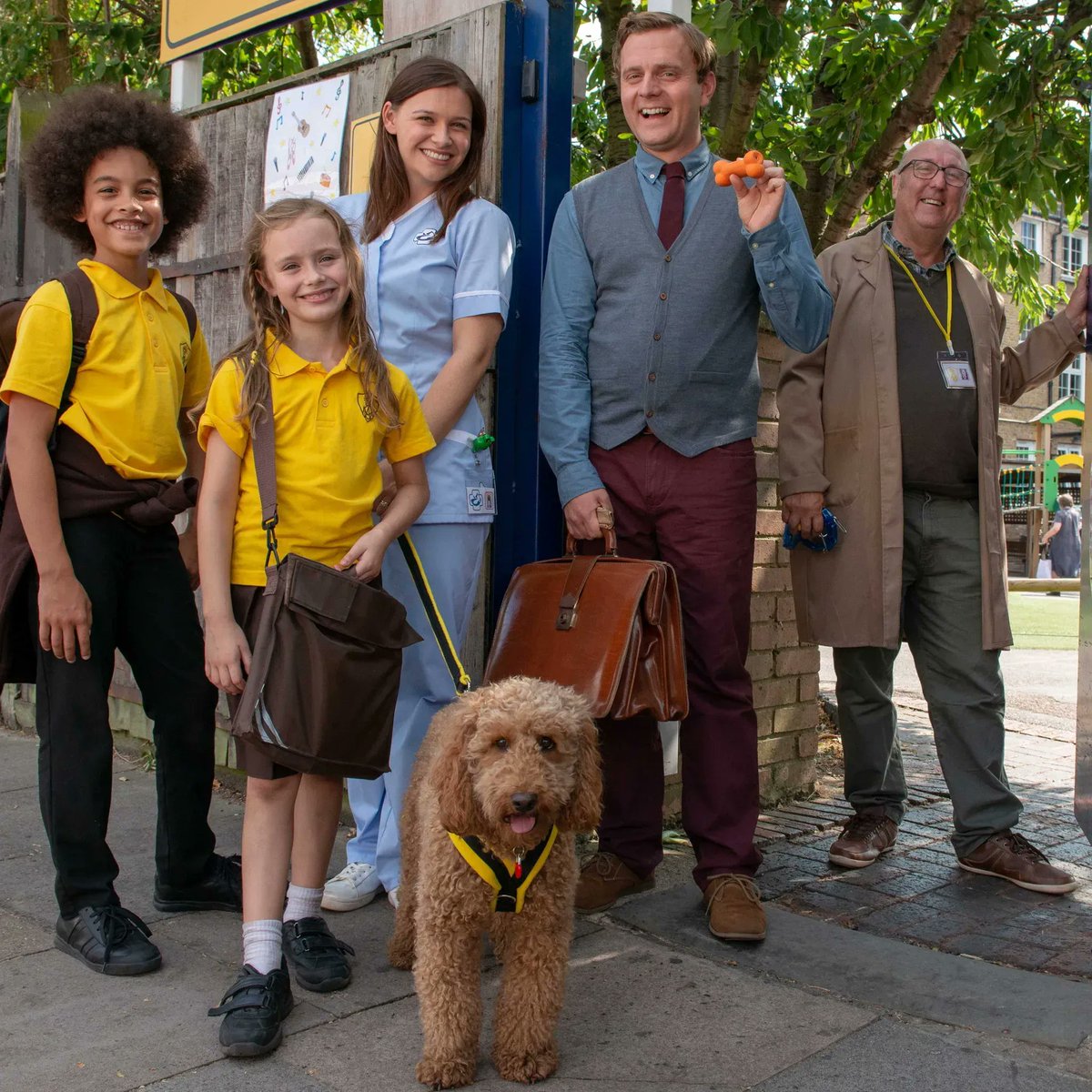 Waffle the Wonder Dog TV Show tweet media