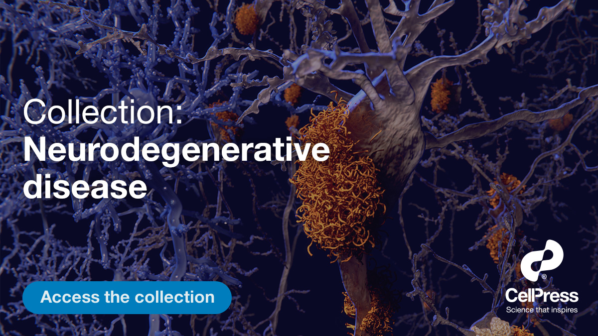 CellReports's tweet photo. Explore this Cell Press collection on neurodegenerative disease spanning fundamental mechanisms of neurodegenerative disorders to translational research aimed at prevention and treatment. https://t.co/lK3NBBBM1L https://t.co/rBXgUj2cMr