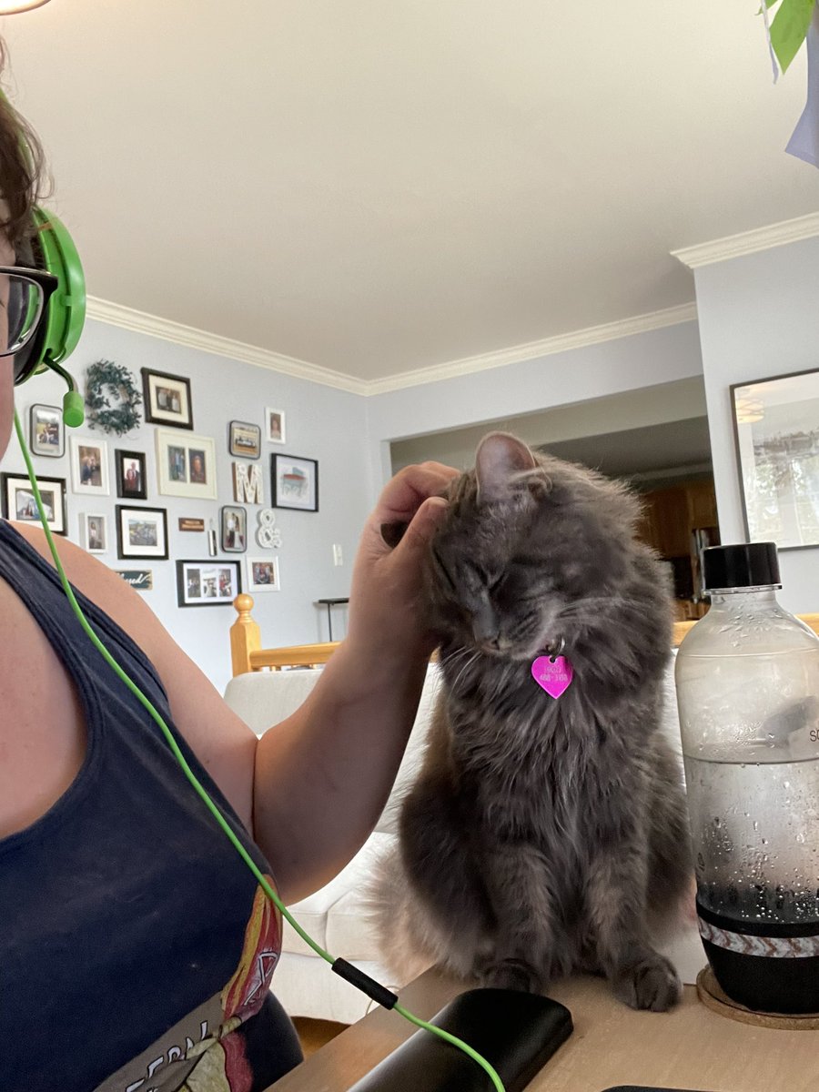hfxwritergenius's tweet photo. Someone is pretty pleased to be back at work after her (our) vacation. #editorcat https://t.co/xlmx0iKR8h