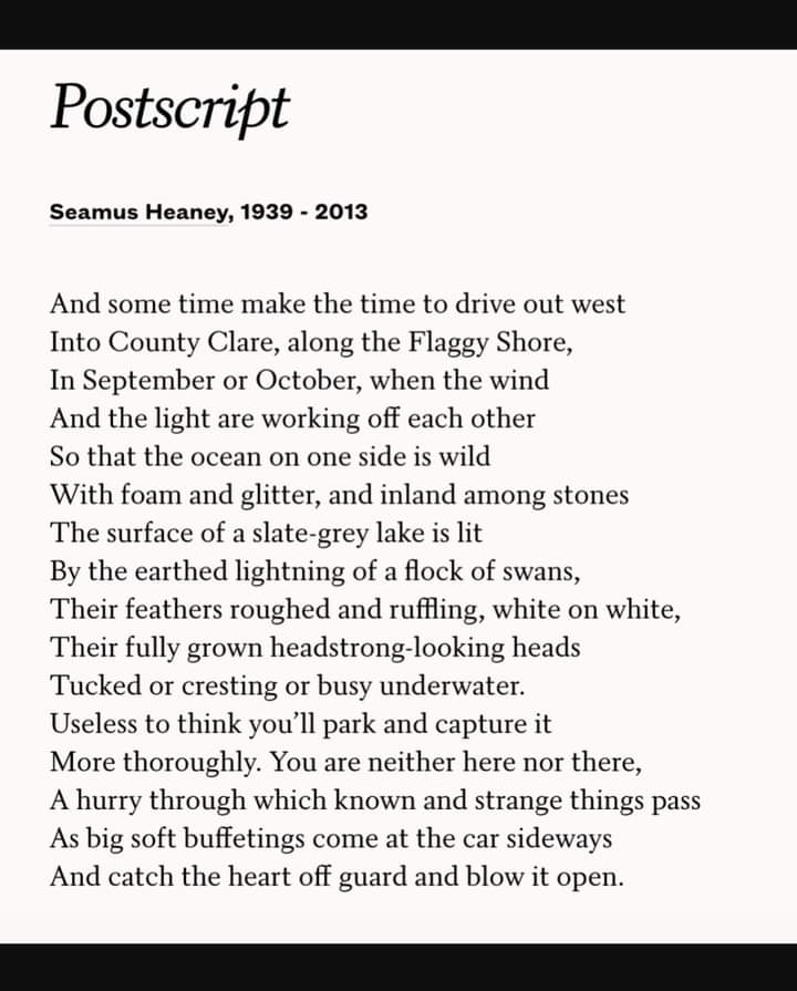 UCDPress's tweet image. #seamusheaney 10 years without him

With words like this, he's always with us

#Irishpoet #irishwriters #BooksIreland