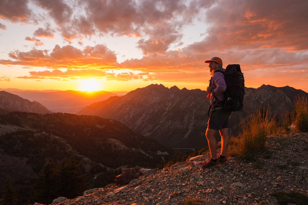 Nateinthewild | Nate Luebbe tweet media