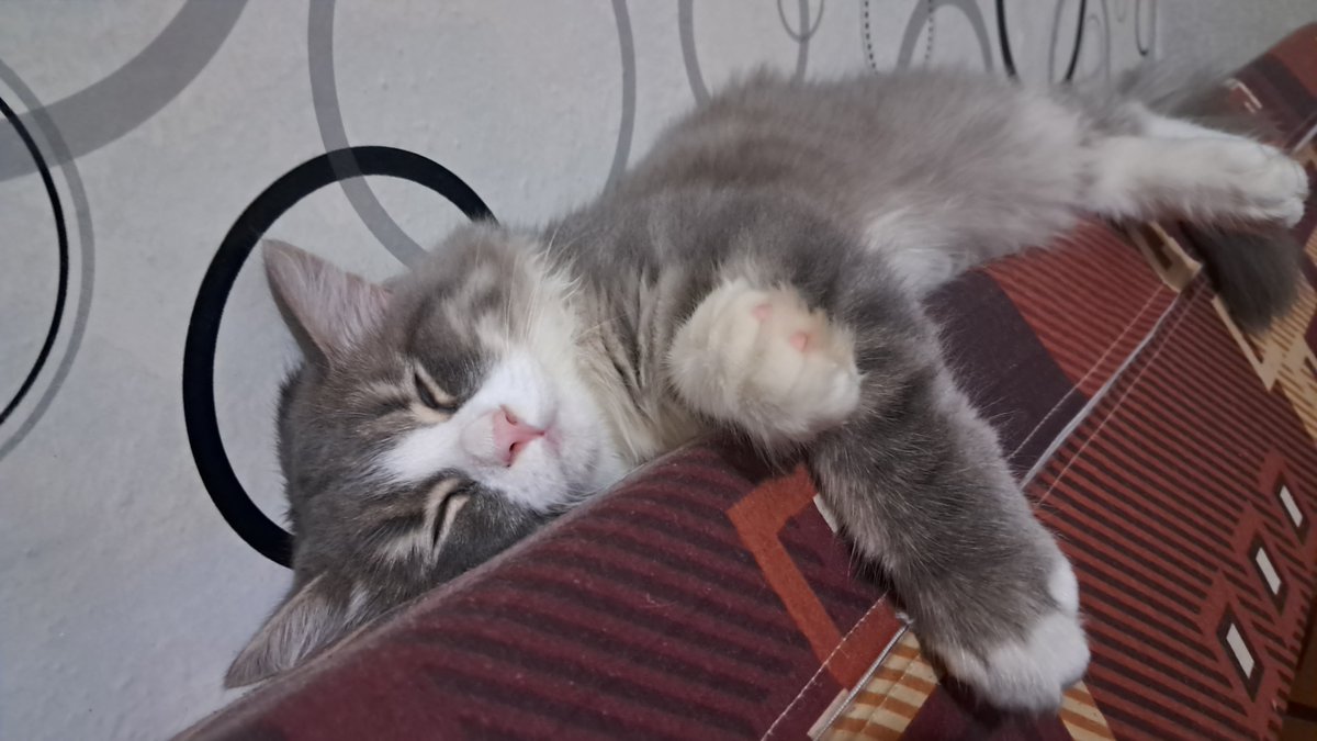 movicwon's tweet image. Lelah menunggu😔