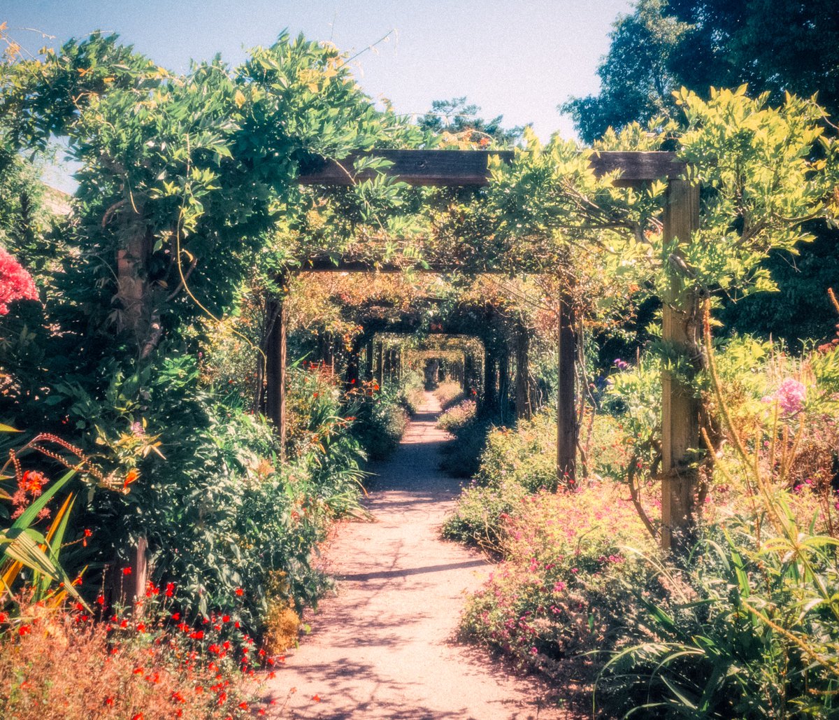 artofseanmurphy's tweet image. Garden of Eden