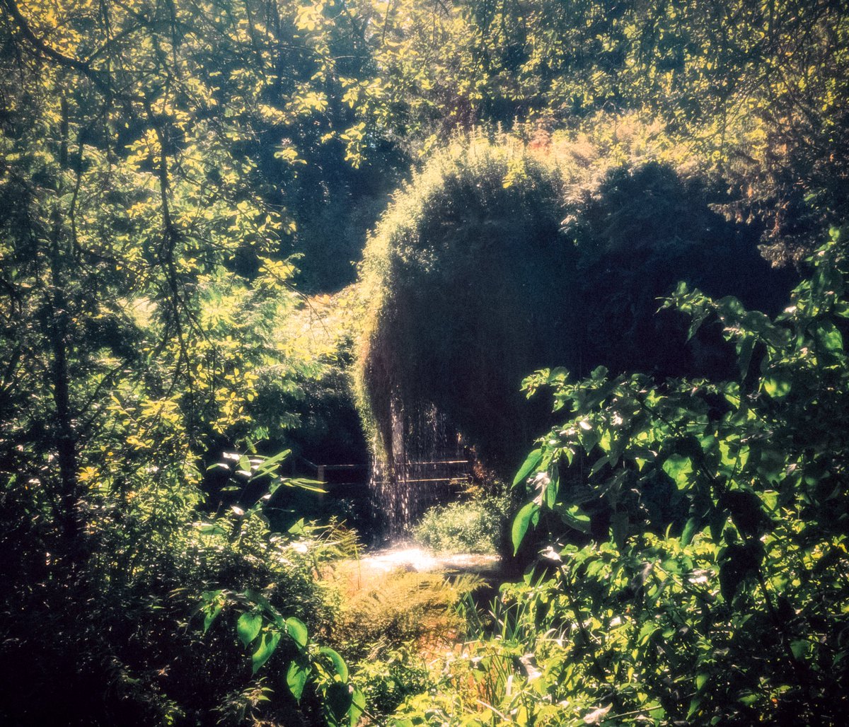 artofseanmurphy's tweet image. Garden of Eden