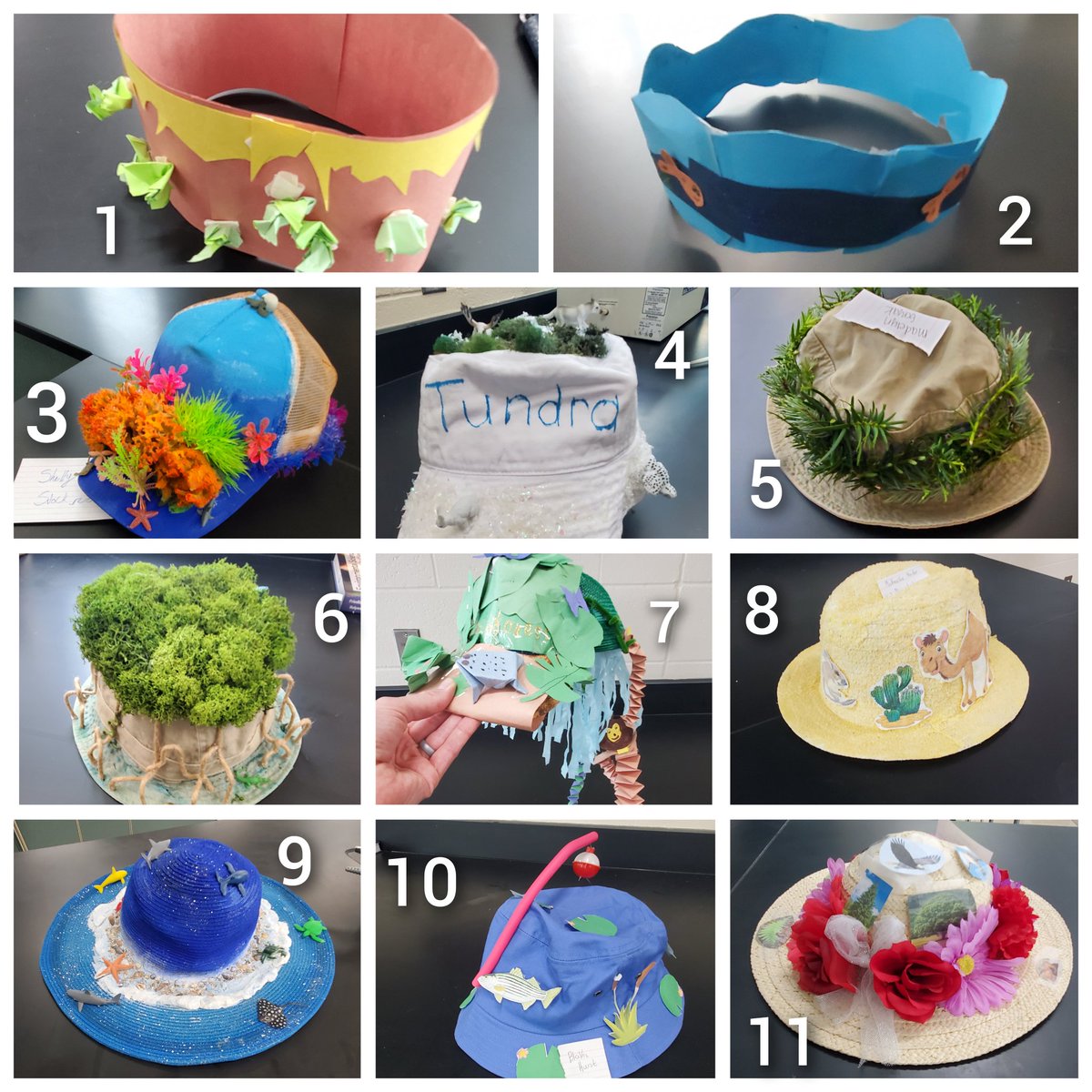 #APES Students created these fantastic biome hats! Which # is YOUR favorite? (See if you can guess the biome!) <a href="/NPHS_Science/">NPHS Science Team</a> <a href="/VoelzJames/">New Palestine High School</a>