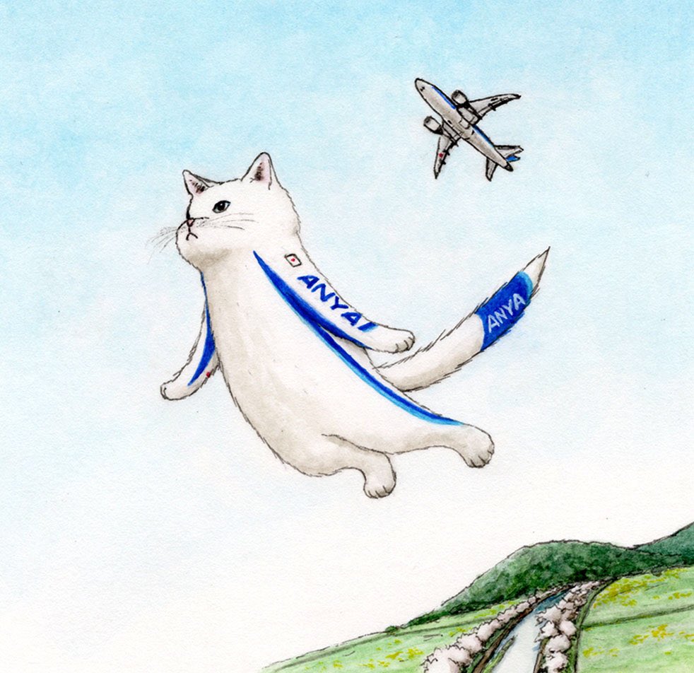 no humans airplane cat aircraft traditional media colored pencil (medium) animal  illustration images