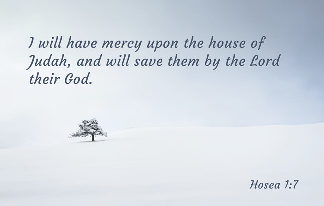 stenochchurch's tweet photo. The Lord is merciful and forgiving. https://t.co/GtYoGWBbj4
