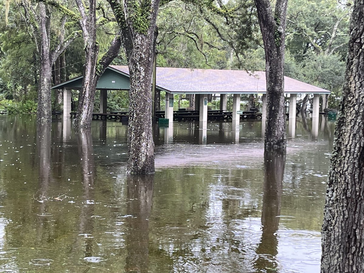 ShinyBrite's tweet photo. Flooding at Lowry Park and boat ramp. #tampaflooding #HurricaneIdalia https://t.co/0NkUHtGQB2