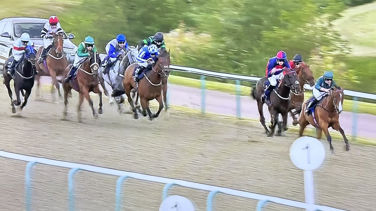 amajox's tweet photo. Congratulations @amajox @YarhamFletcher WINS #AllAboutAlice @LingfieldPark #easily for @dylancunha_uk #9ran #topride #topjock Well done Fletcher! πππ₯πππ https://t.co/wm4wSnilZw