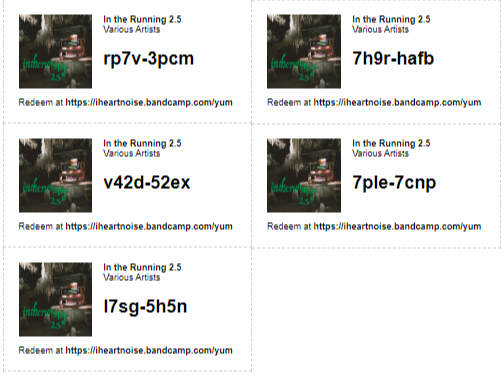 Codes for you and yours in the morning! iheartnoise.bandcamp.com/album/in-the-r… @worriedsongs @thsmchnslrnng @foxydigitalis @QuinteliumMusic @onlythehostband