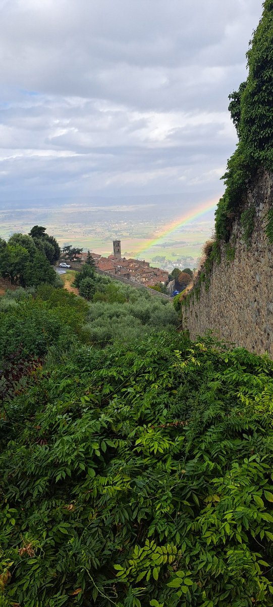 View from our @airbnb in Cartona,Italy.  Now for the walk down the hill and back up the hill. #repeat. #pasta #wine #Italy #Tuscany