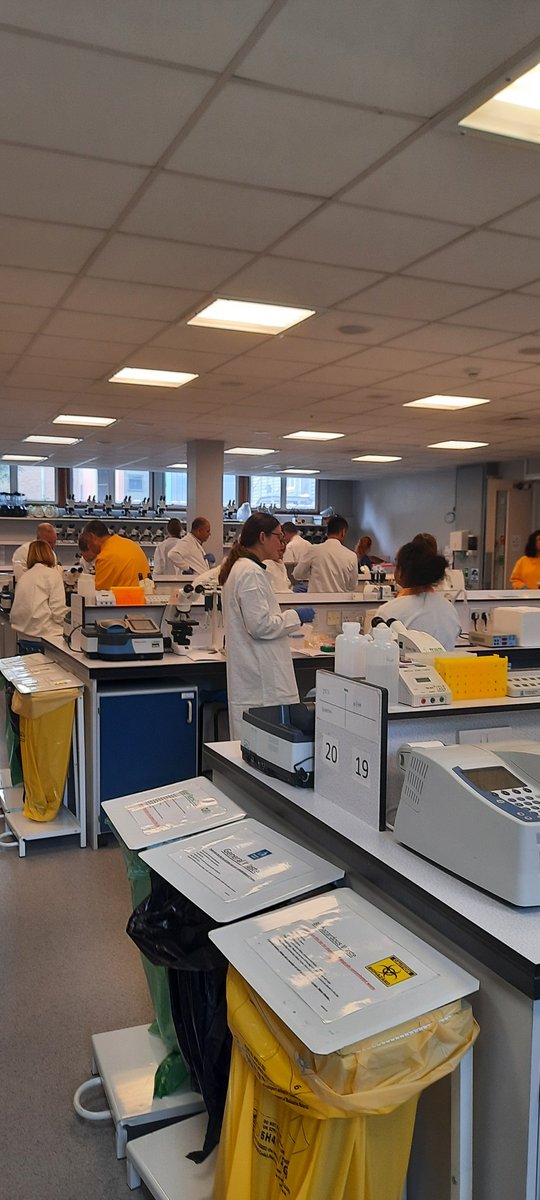 Hands on #blastocystis identification #protist #science #training #sciencewithoutborders #CostActions @costpr