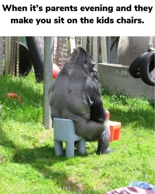Way too funny! 😂🤣