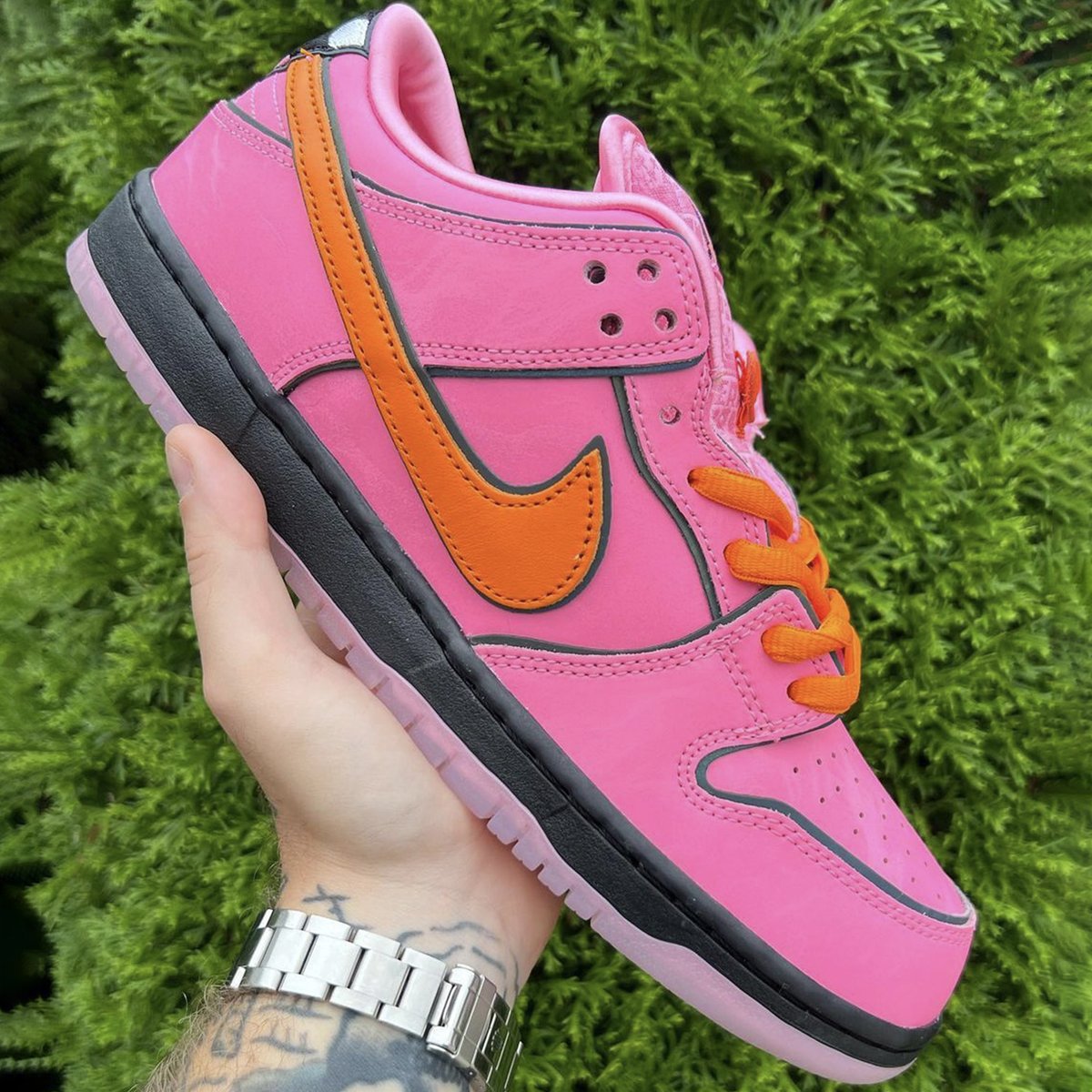 Pingshack tweet media