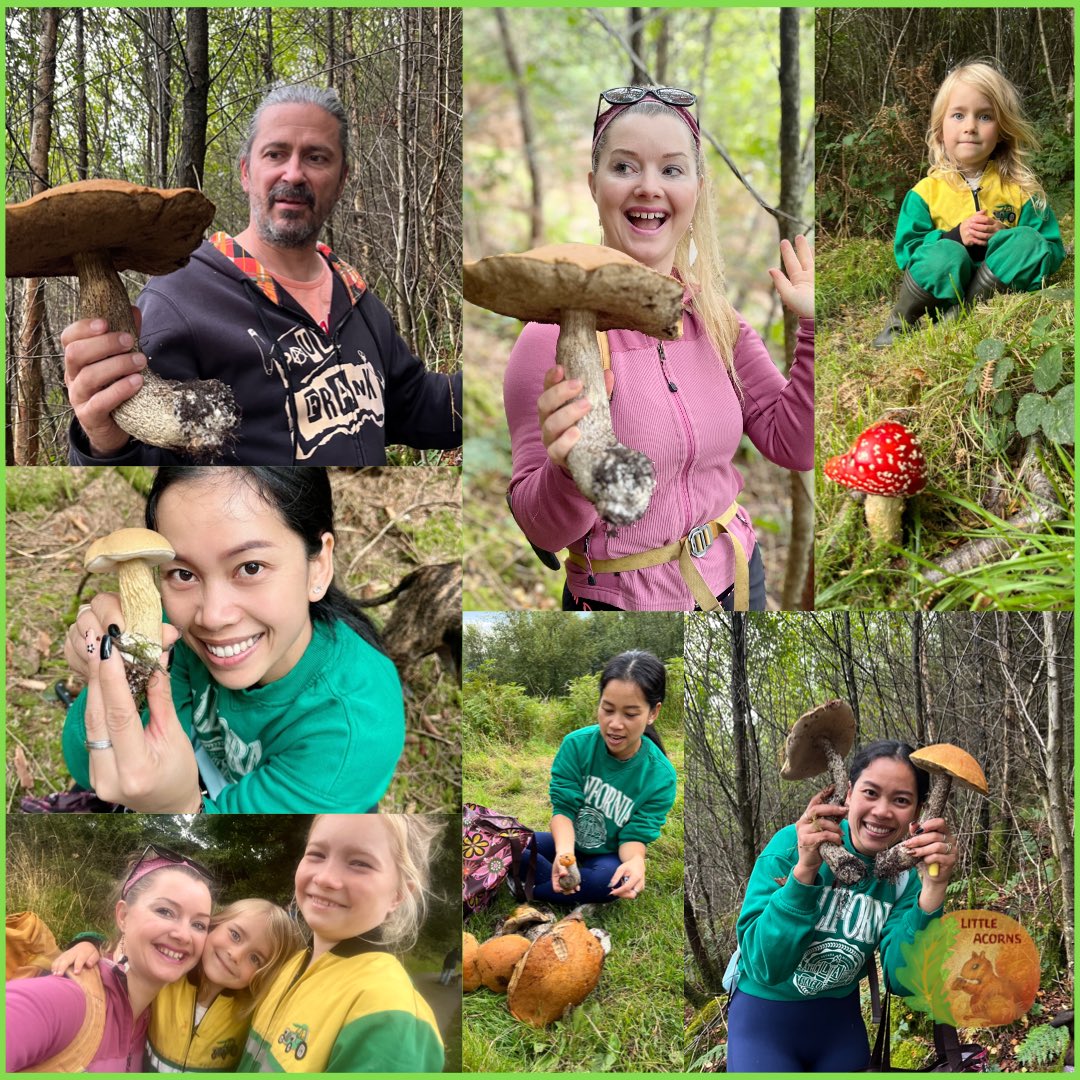 LittleAcornsCIC's tweet photo. The excitement of a fungi forage! 🍄🤩🥳

#autumn #foraging #fungi #edibles #acornadventures #freezerfilled #ecology #scotland #natureID #littleacorns #wildfood #outdooreducation https://t.co/QdYnQ5LWqh