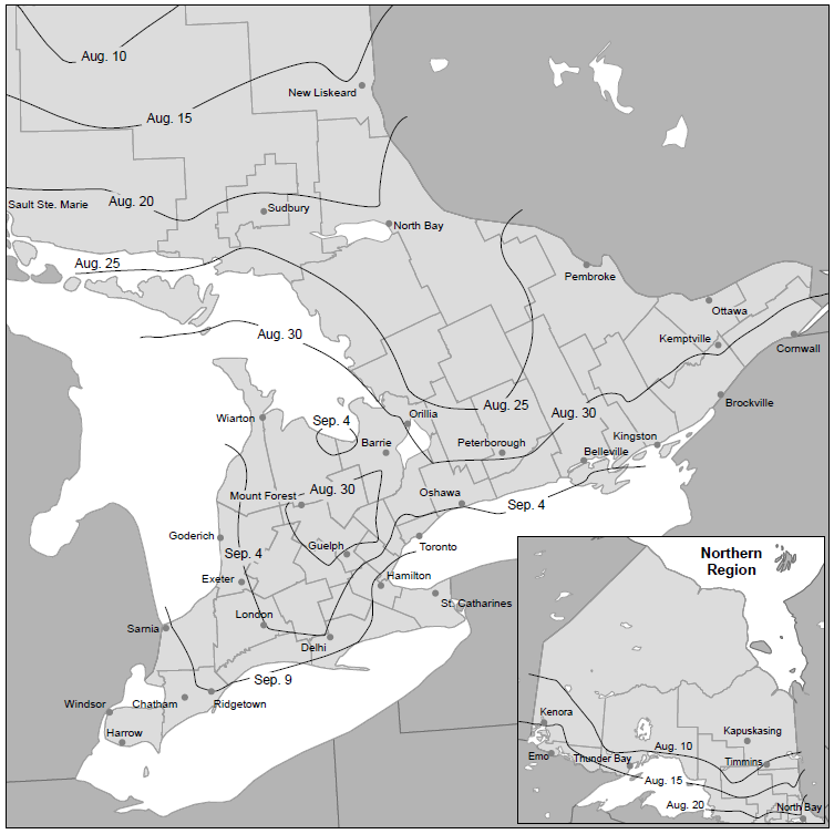 Christine O'Reilly tweet media