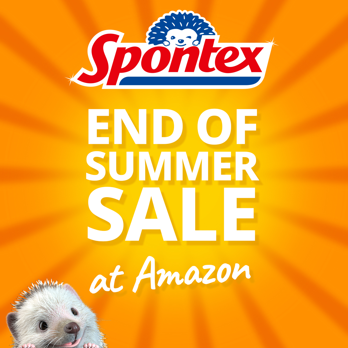 Spontex UK tweet media