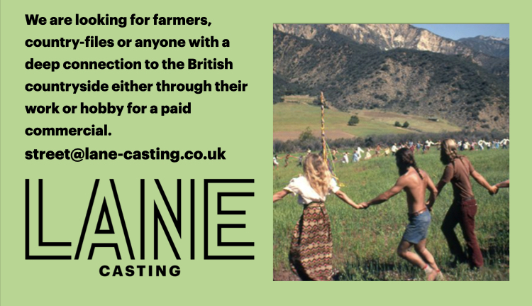 LANE Casting CDA tweet media