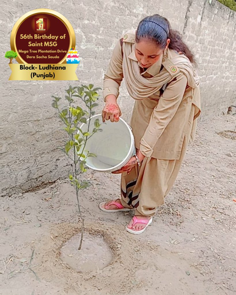 DSSNewsUpdates's tweet image. Each sapling is a green celebration! Dera Sacha Sauda volunteers honor Saint Dr. Gurmeet Ram Rahim Singh Ji Insan's 56th birthday ‘MSGBhandara’ with the timeless gift of🌲greenery.  #56thBirthday #SaintDrMSG #DeraSachaSauda #TreePlantation